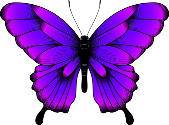 butterfly_colored mask