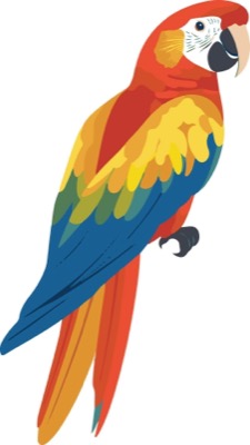parrot_colored mask